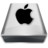 White Apple Icon